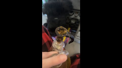 Day 9 I watched a video on how naive girls are lmfaooo