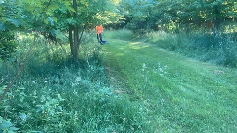 Cutting half the front and the trail