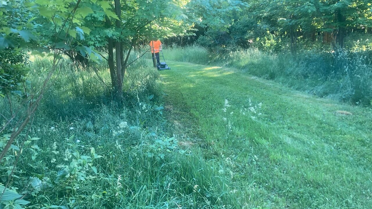 Cutting half the front and the trail