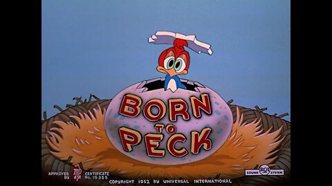 Woody Woodpecker 21 Born to Peck (1952)