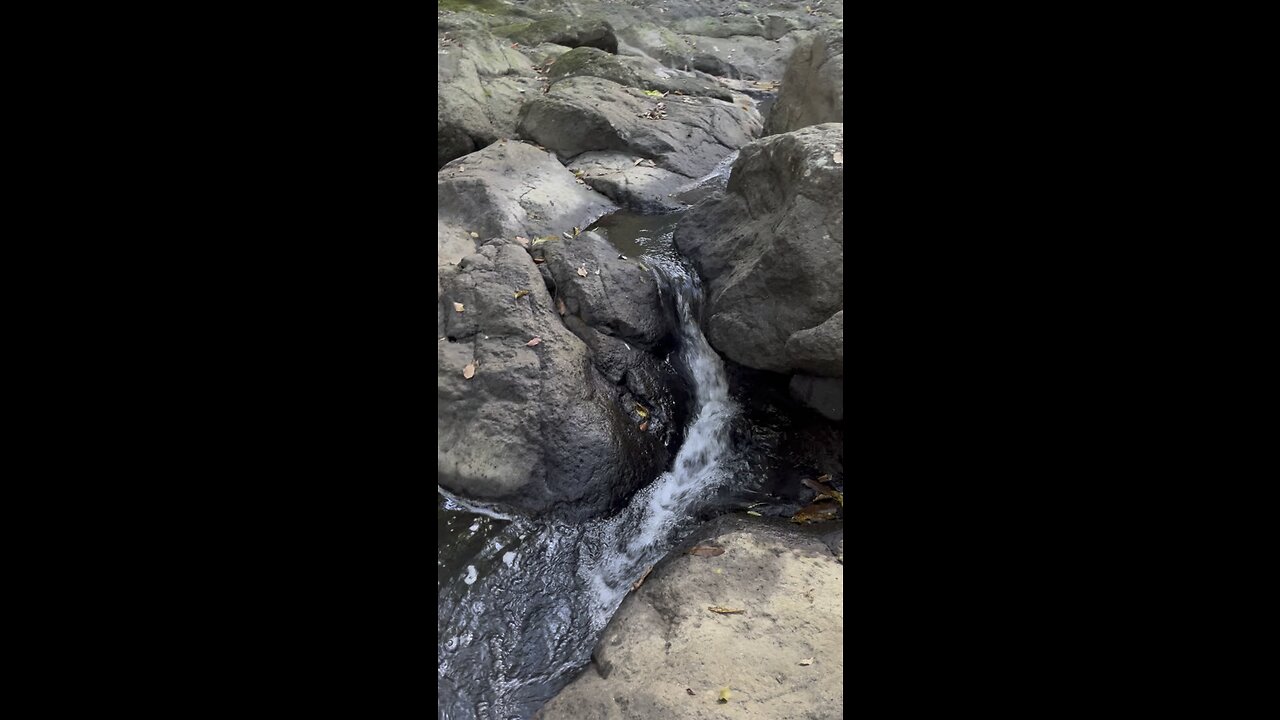 Give Yourself Moments in Nature
