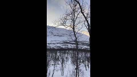 Snow Walking in Tromsø