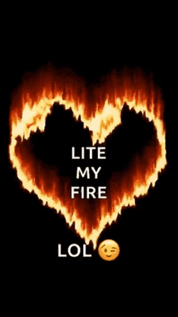 🐕‍🦺 Shep Dog