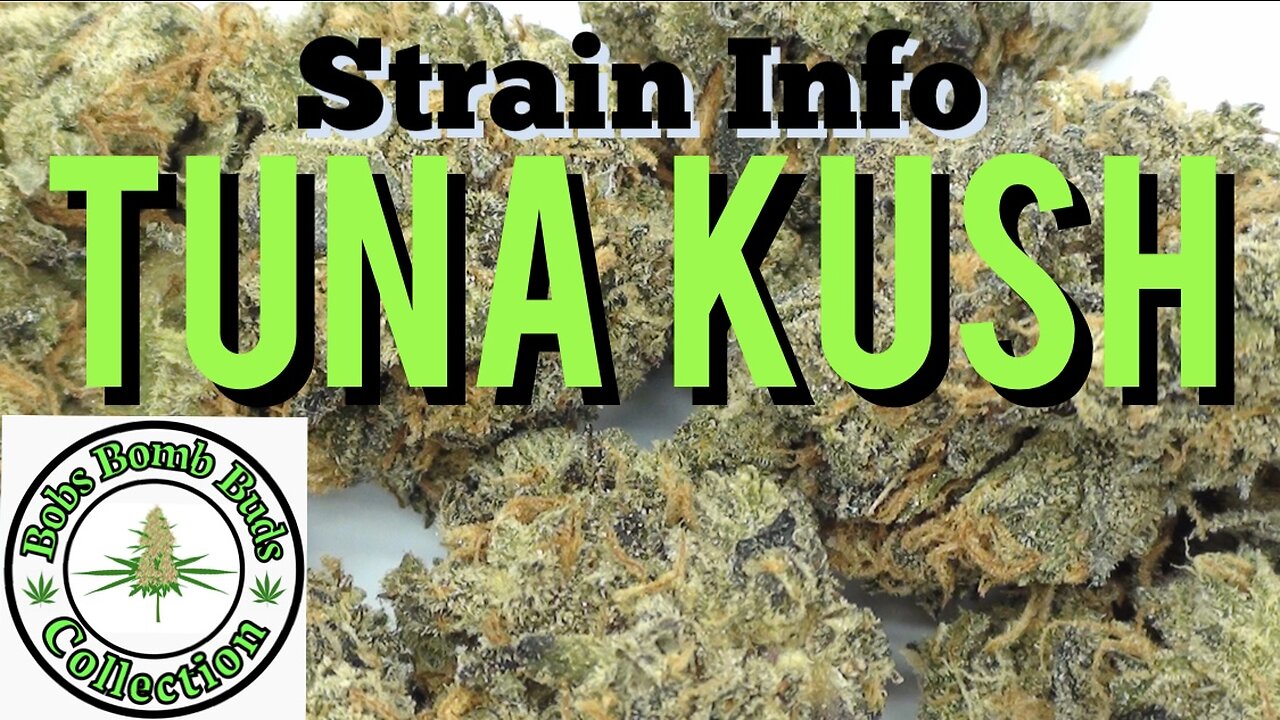 Tuna Kush, Cannabis Strain (Tuna OG, BC Tuna)