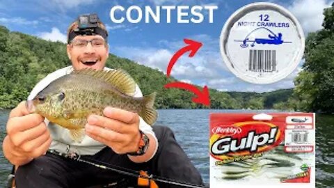Which Bait Will Catch More Fish? (NIGHTCRAWLERS) or (GULP MINNOWS).???