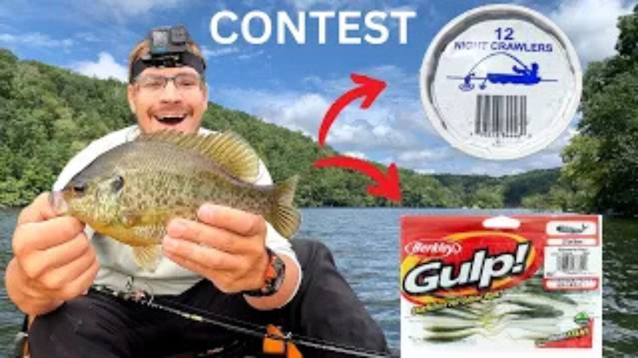 Which Bait Will Catch More Fish? (NIGHTCRAWLERS) or (GULP MINNOWS).???