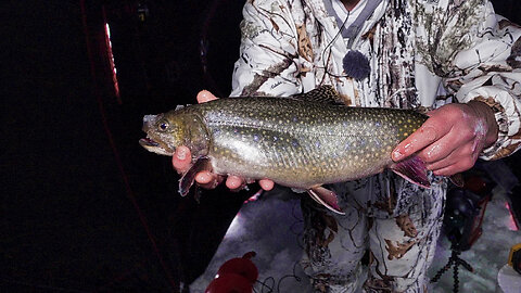 FAT Brook Trout Gets TANGLED On Underwater Camera