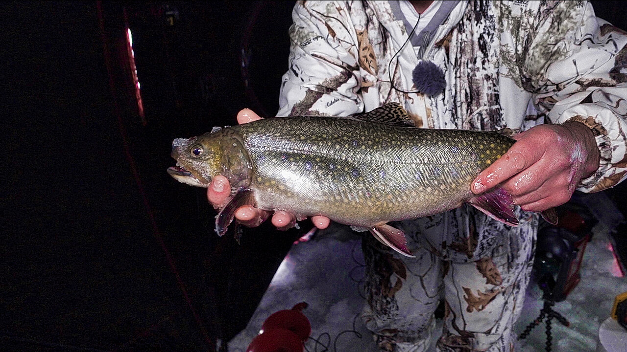 FAT Brook Trout Gets TANGLED On Underwater Camera