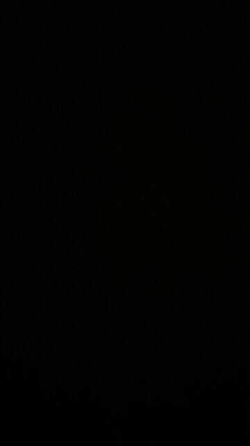 Our dollar under Kamala