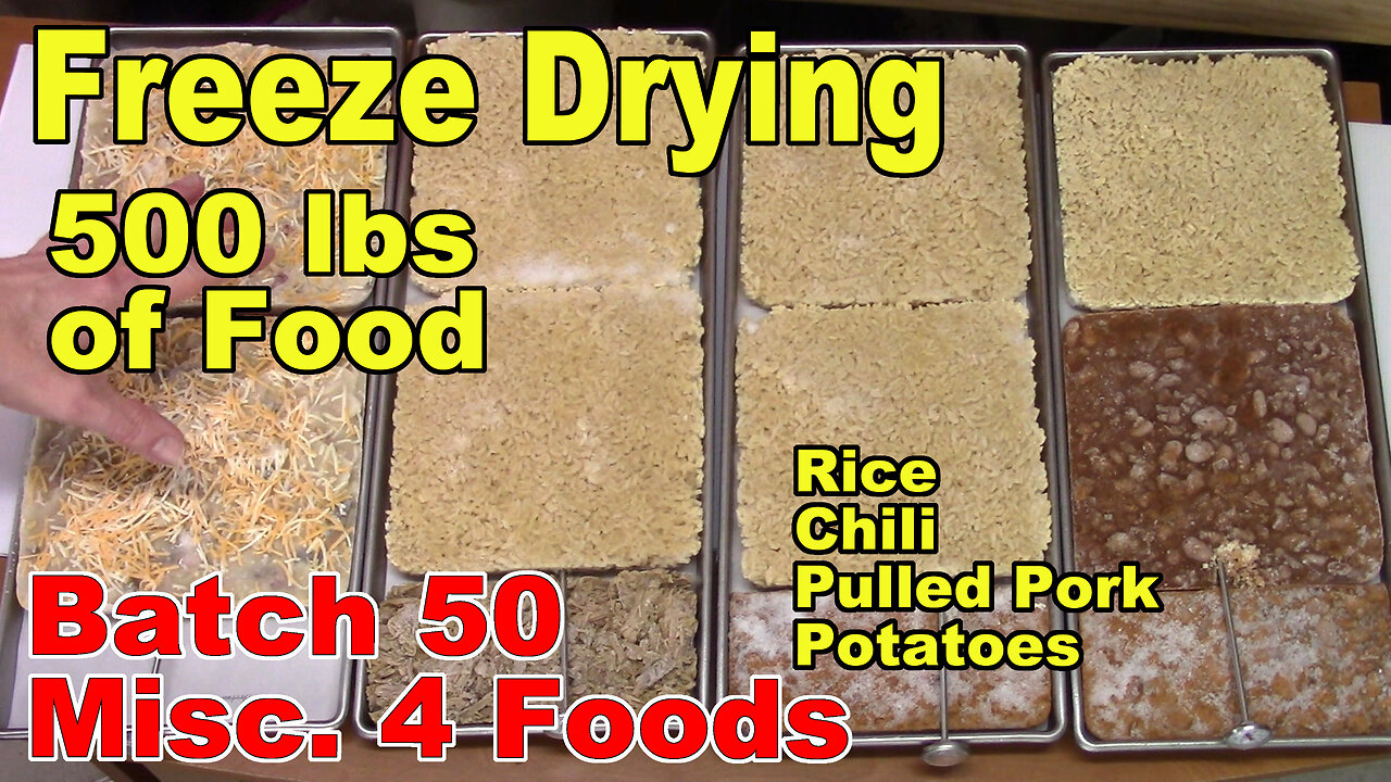 Freeze Drying Your First 500 lbs of Food Batch 50 Rice, Chili, Pulled Pork, Scalloped Potatoes