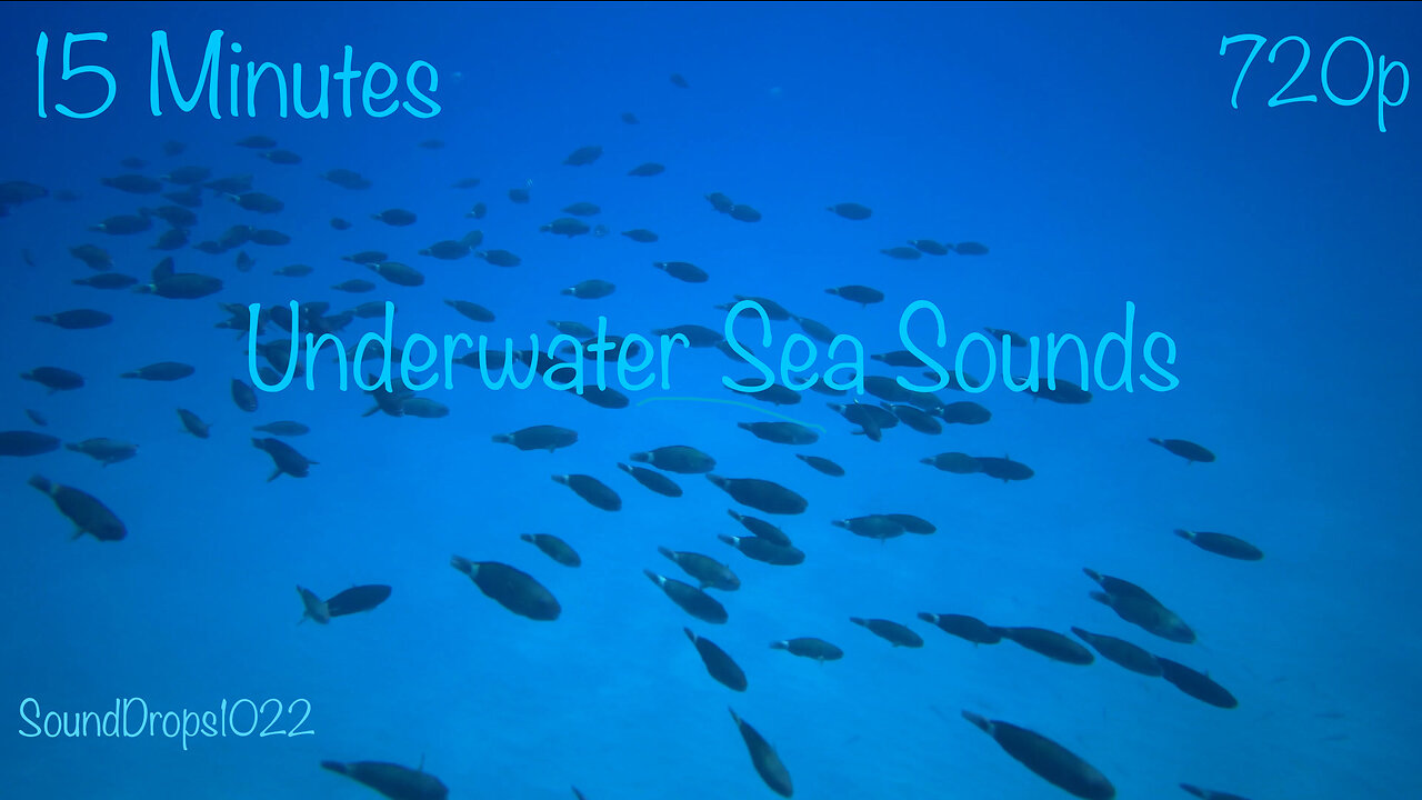 Breath Taking 15 Minutes Of Underwater Sea Sounds