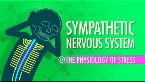 Sympathetic Nervous System: Crash Course Anatomy & Physiology