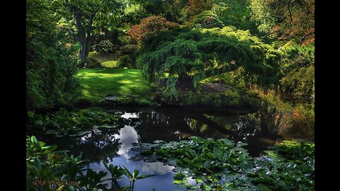 The Nature of our Faith 3B - God in His Creation