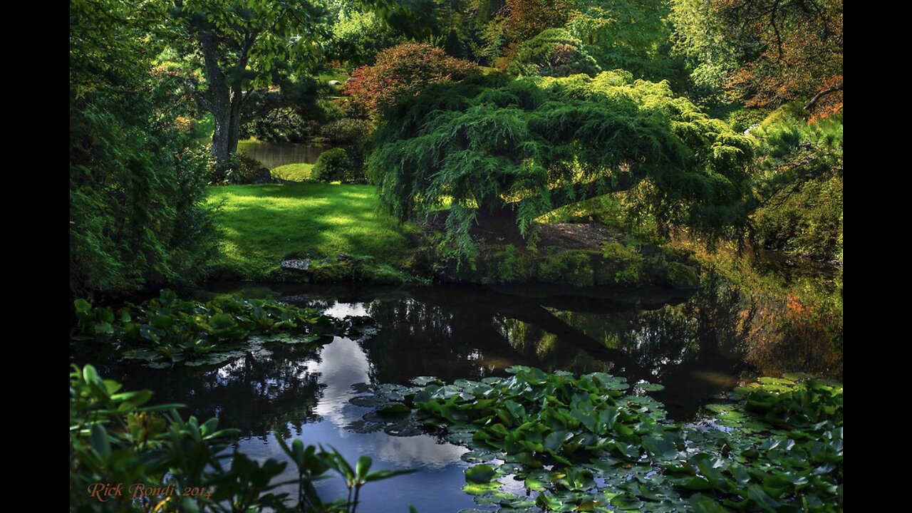 The Nature of our Faith 3B - God in His Creation