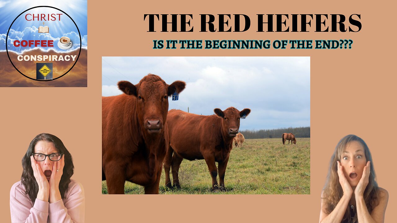 Episode # 28 - 5 Red Heifers 😊 | Should the world celebrate 🥳