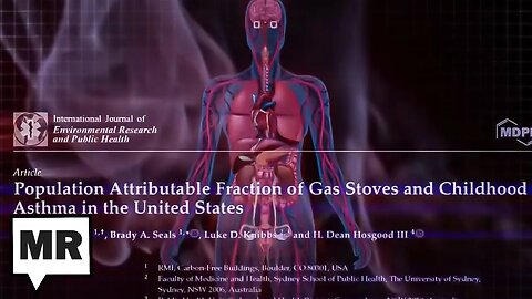 Gas Stoves Aren’t The Only Unregulated Toxins We Ingest