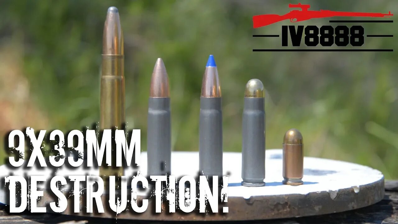 Vintorez 9x39mm Destruction!
