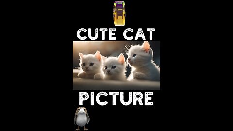 Cute Cat Picture