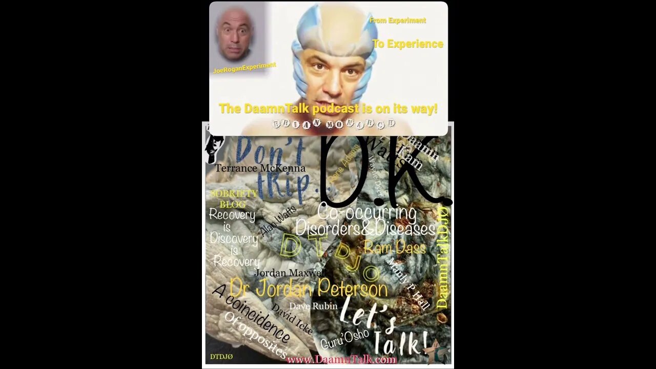 #JoeRogan of #JRE set the ground work for Us at @daamntalk5153! Sub+Follow for more #Daamn #dtdjø