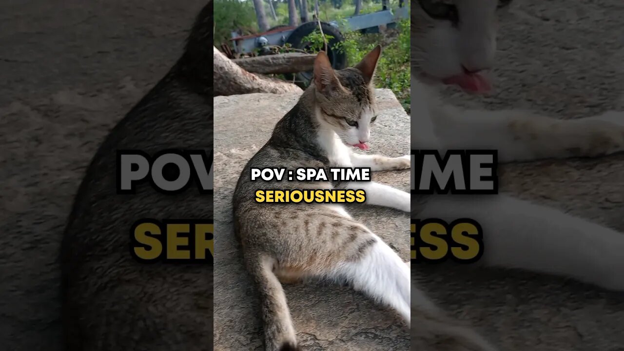 POV : SPA TIME SERIOUSNESS