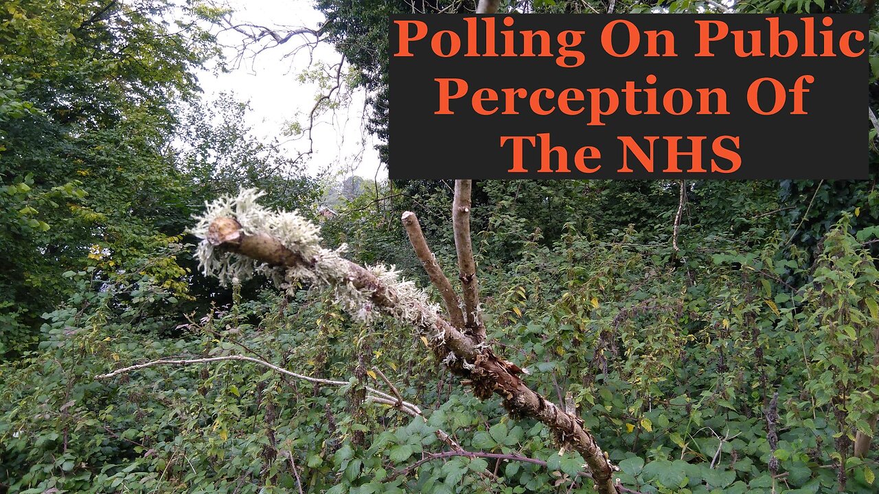 Polling on Public Perception of the NHS