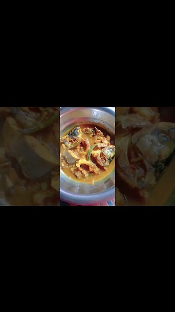 গ্রাম বাংলার খাঁটি মাছের ঝোল🤣🤣🤣 #shorts #youtubeshorts #viral #viralshorts #trending #trendingshorts