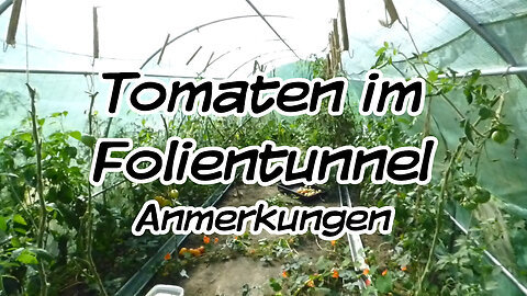 Mach's Dir. Selbst. - (nur kurz) Tomaten im Folientunnel, Anmerkungen