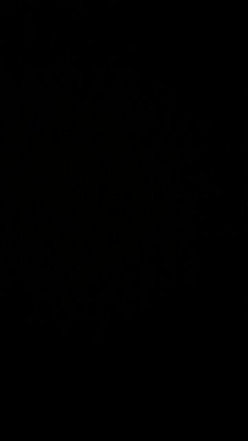 Presidential records