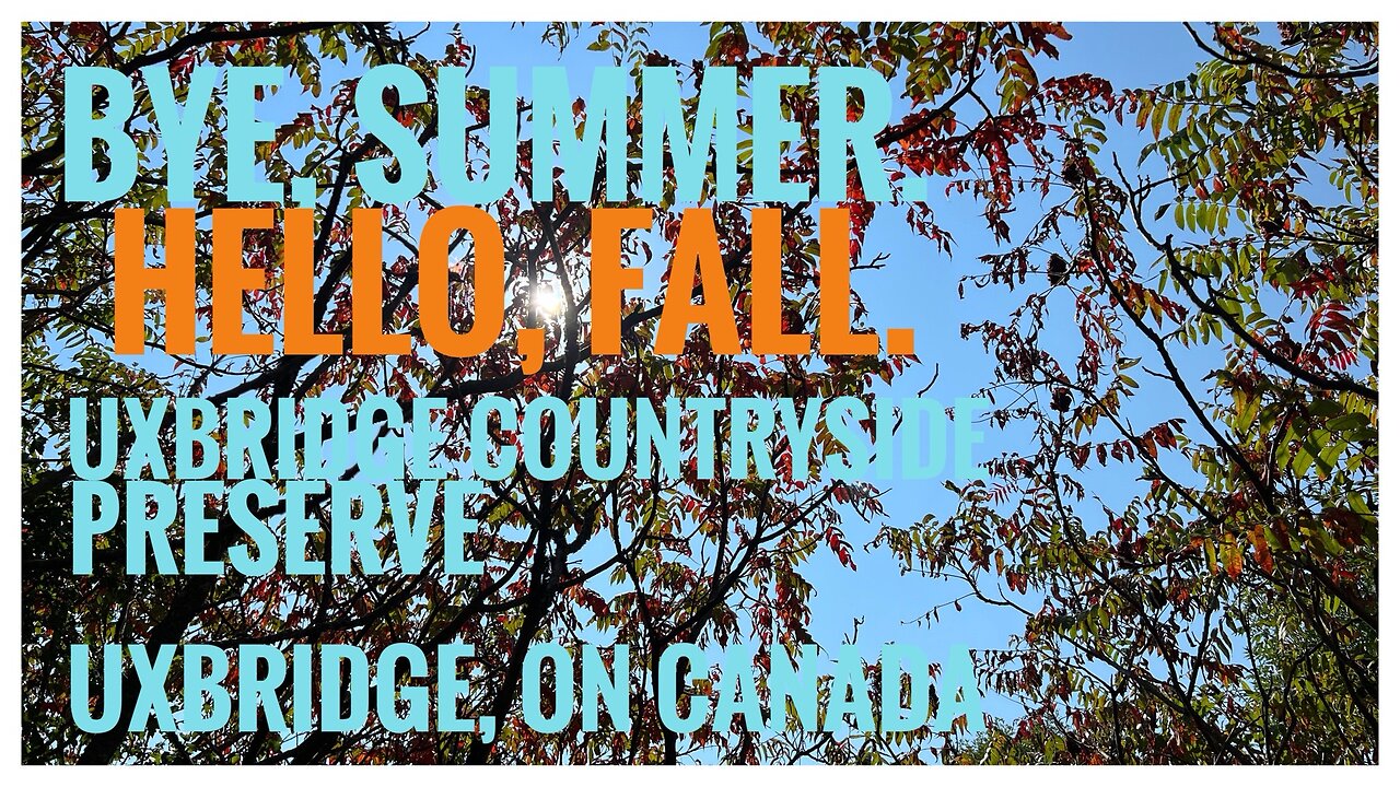 Relive Hiking |Bye,Summer. Hello, Fall | Uxbridge Countryside Preserve