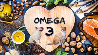 The Omega Revolution SHOCKING Health Benefits for You and Your Pets