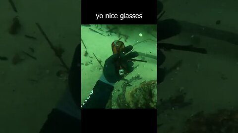 Found designer glasses in the river