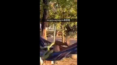 Just a prank bro
