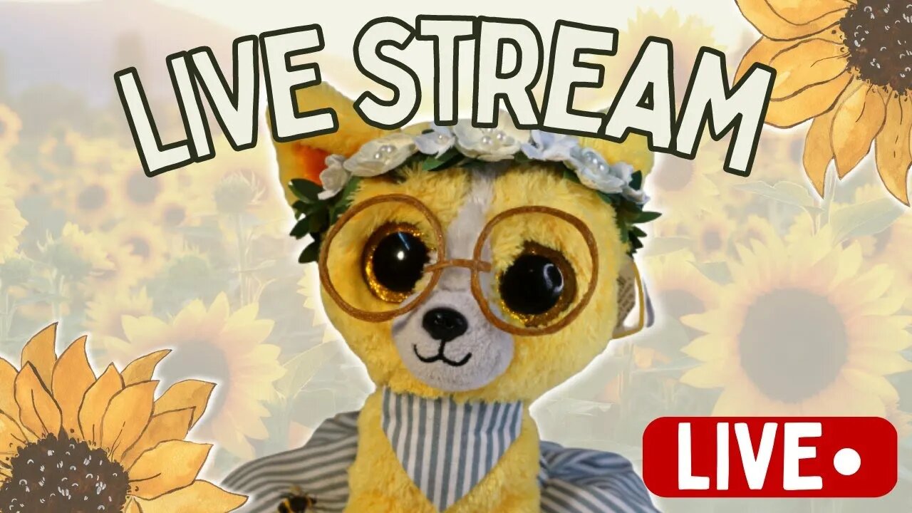 🔴 Chat With Me While I Reveiw Beanie Boos - LIVE STREAM 🔴