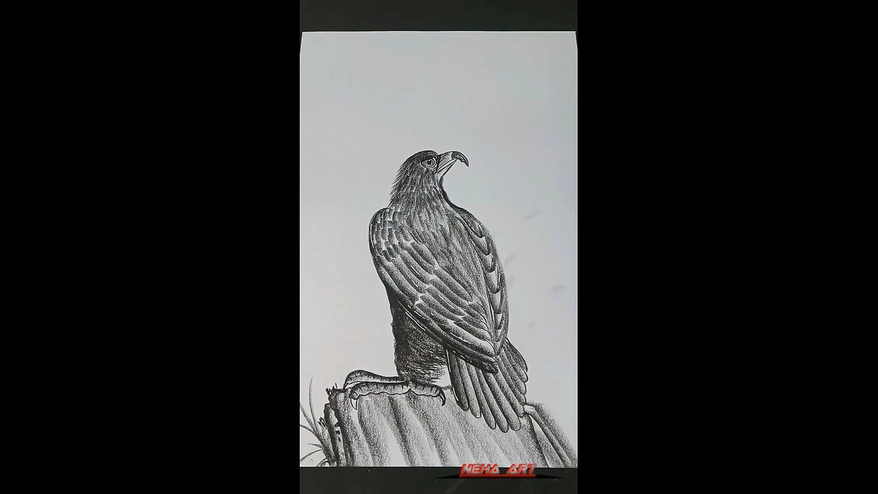 Eagle 🦅 Pencil ✏️ Art 🎨