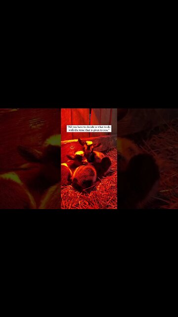 Can You Imagine a Better Life? #shorts