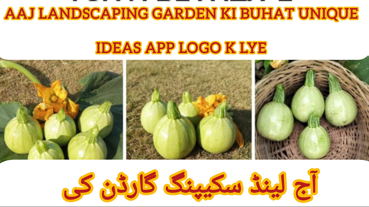 Garden growing tips and kitchen garden tips on the