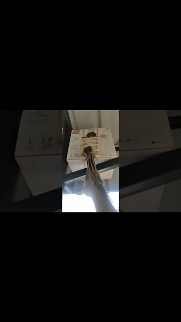 To reach our dreams sometimes #lorraine #spoty #bbcbreakfast #prince #nationallottery #thismorning