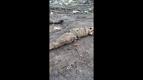 Destroyed militants abandoned by the Ukrainian command