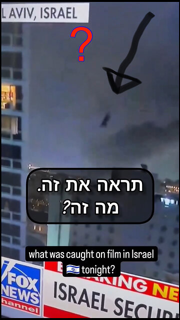 What the hell is this?