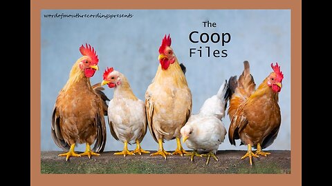 #000 Intro - The Coop Files