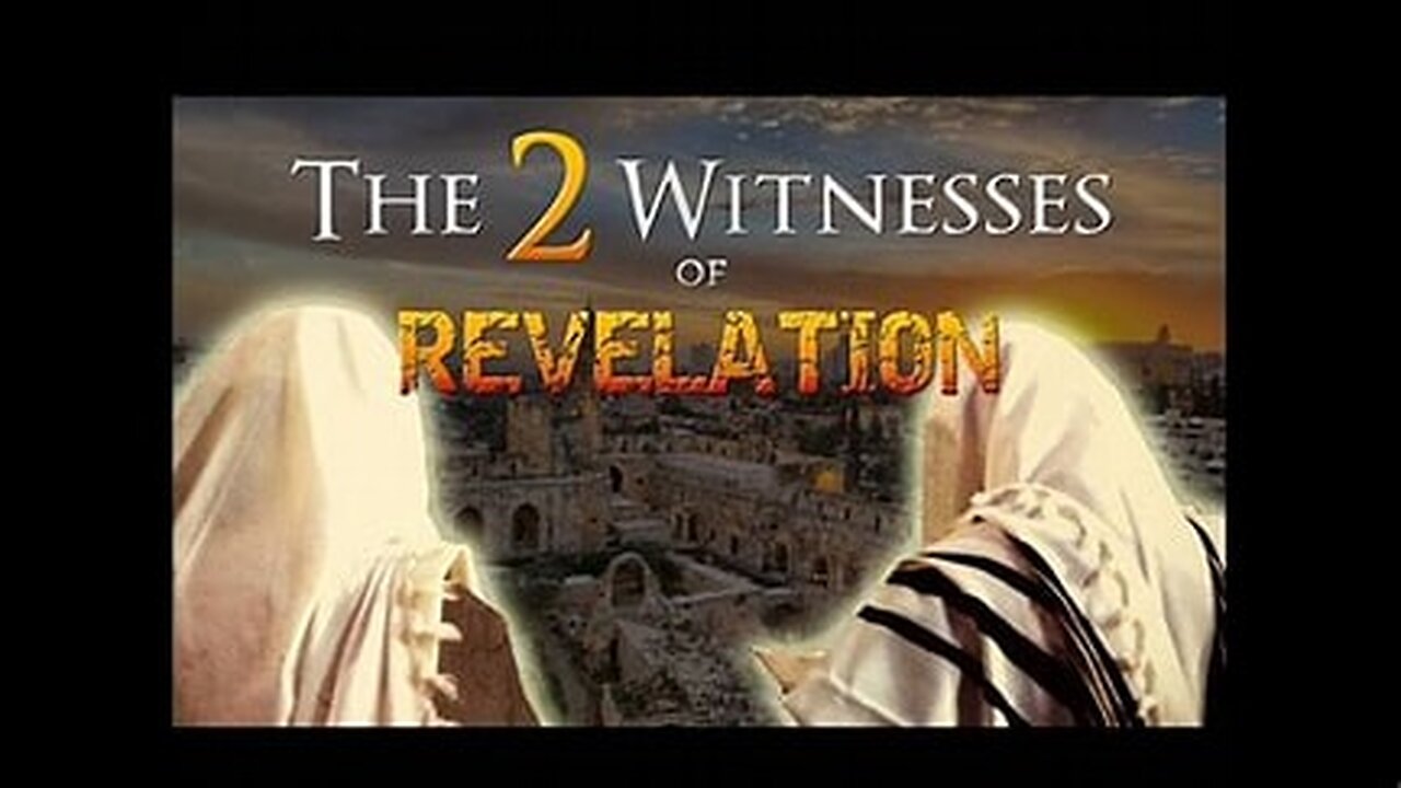 THE TWO WITNESSES