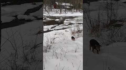 Running Uphill.. 😂