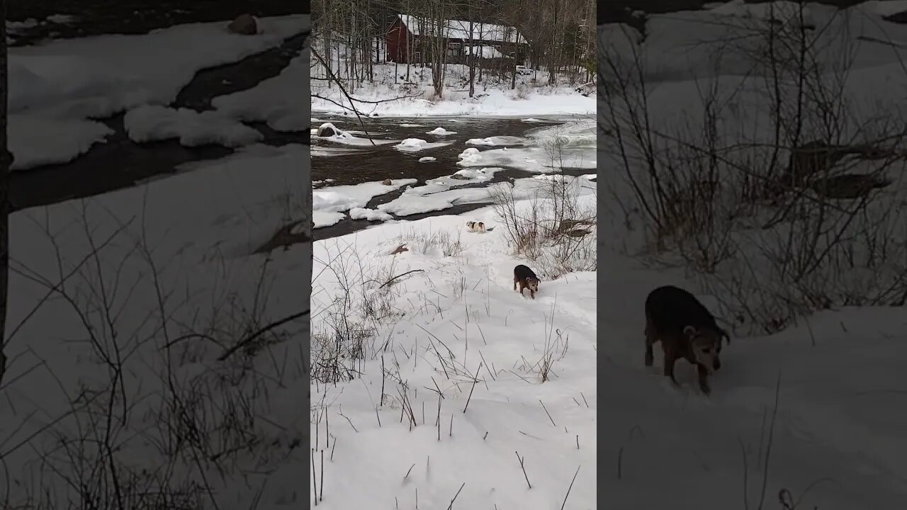 Running Uphill.. 😂