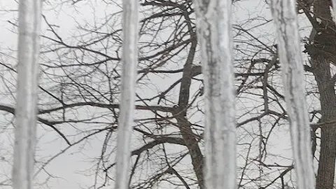 Its An Ice Cycle Day.