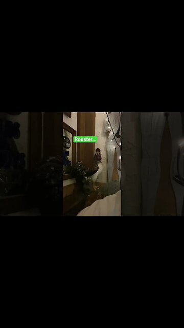 B#beer eer tip 62 #Goes with #poultry #shorts