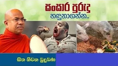 සංසාර පුරුදු හඳුනාගන්න කෙටි ධර්ම දේශනා