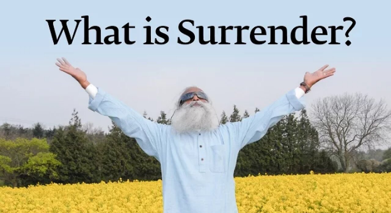 What is Surrender?