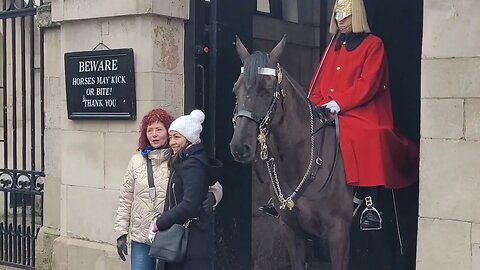 Two tourist told to let go of the #horseguardsparade
