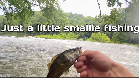 Fishing For Small Mouth On A Flooded River.