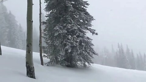 An Ultimate Winter Wonderland: Trees, Powder & Beats